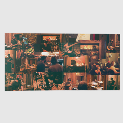 'Complex House Plants' [VINYL] (Gatefold/Coffee)